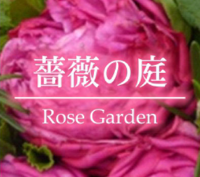 6つの庭　薔薇