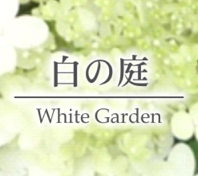 6つの庭　白